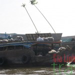 Delta de rio Mekong/Viaje a Camboya, Vietnam y Laos 18 días