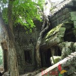 Ta Prohm - Viaje a Camboya y Vietnam 20 días