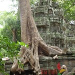 Ta Prohm-Viaje a Myanmar, Tailandia, Camboya y Vietnam 18 días