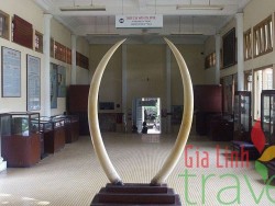 Viet Nam Museo Histórico