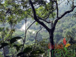 Parque nacional Cuc Phuong