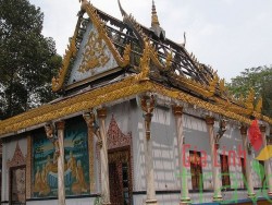 Pagoda Murciélago