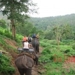 Paseo en elefante Chiang Mai